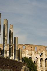 Image showing collosseum rome italy