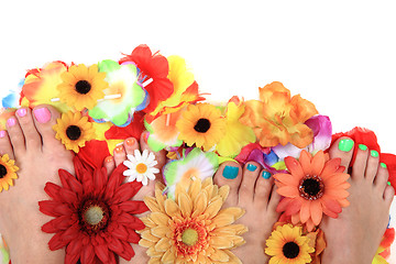 Image showing pedicure nails, feet and flowers