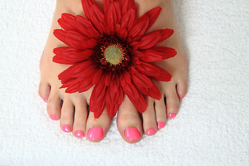 Image showing pedicure nails, feet and flowers