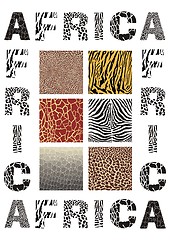 Image showing Africa - background with text and texture wild animal