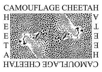 Image showing Camouflage Cheetah 