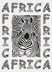 Image showing Africa - background with text and texture zebras