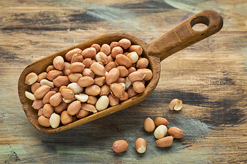 Image showing Spanish peanuts scoop