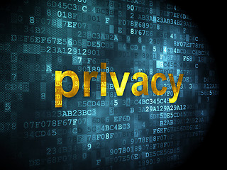 Image showing Security concept: Privacy on digital background