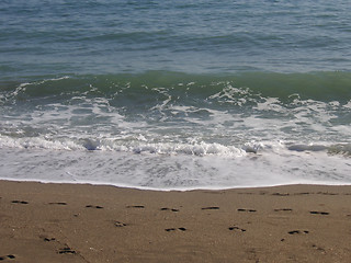 Image showing sea shore