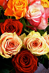 Image showing Colorful Roses