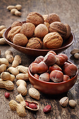 Image showing various nuts