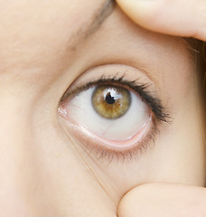 Image showing woman eye