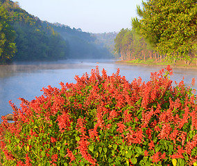 Image showing beauty lake