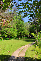 Image showing garden