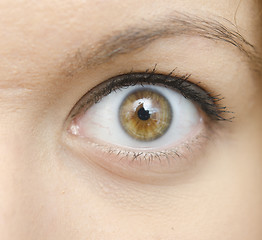 Image showing woman eye