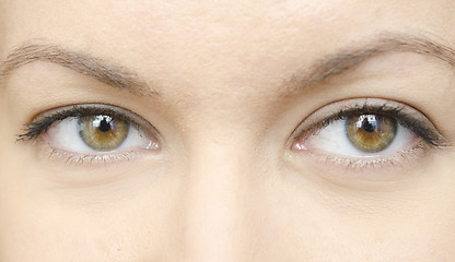 Image showing woman eyes