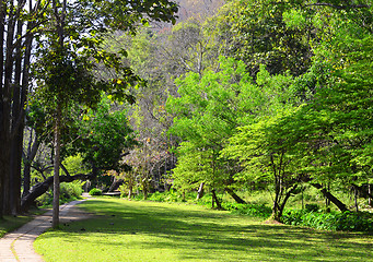 Image showing summer park