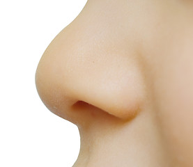 Image showing baby nose