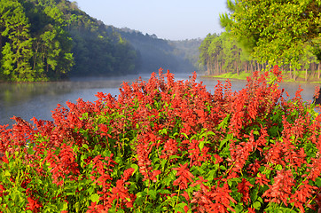 Image showing beauty lake