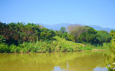 Image showing river