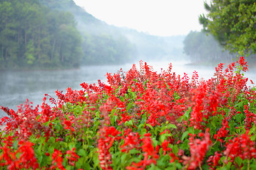 Image showing beauty lake