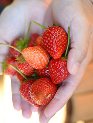 Image showing strawberry