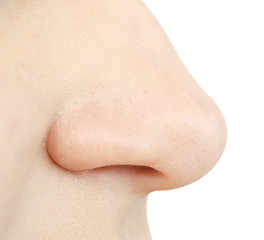 Image showing human nose