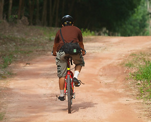 Image showing Bicycle rider