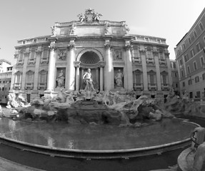 Image showing trevi fountain rome black and white