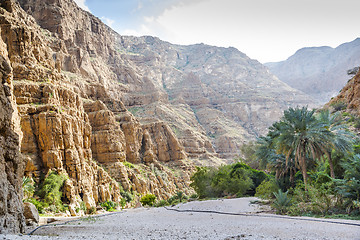 Image showing Wadi Shab Oman