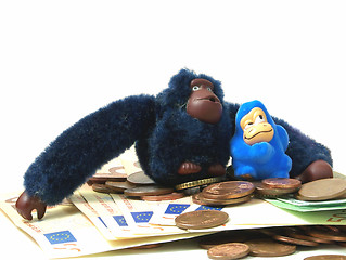 Image showing Monkey business