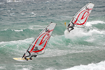 Image showing Windsurfer