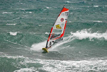 Image showing Windsurfer