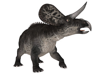 Image showing Dinosaur Zuniceratops