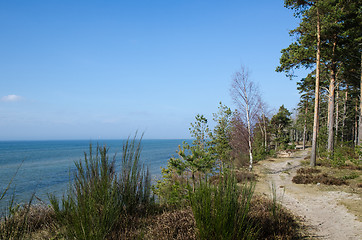 Image showing Footpath along the coast