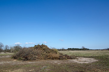 Image showing Twigs from gardens in a big heap