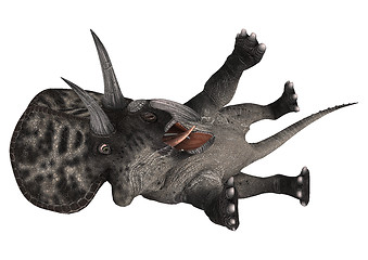 Image showing Dinosaur Zuniceratops