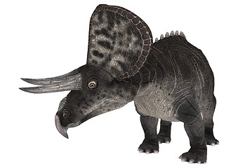 Image showing Dinosaur Zuniceratops