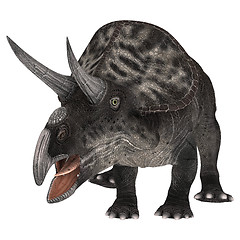 Image showing Dinosaur Zuniceratops