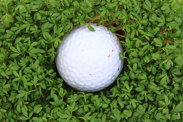 Image showing watercress and golf ball 