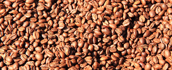 Image showing coffee beans background