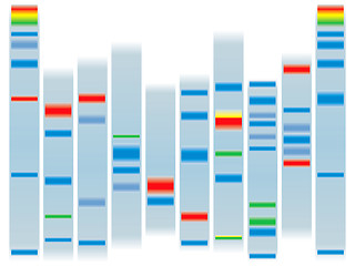 Image showing dna clear