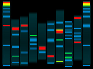 Image showing dna