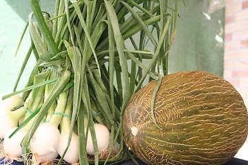 Image showing Melon and onion