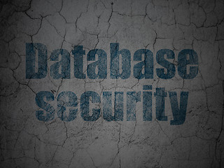 Image showing Privacy concept: Database Security on grunge wall background