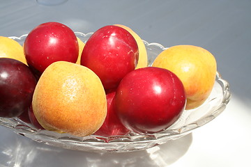 Image showing Plums and apricots