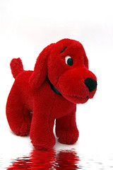 Image showing Red Puppy