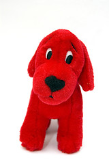 Image showing Red Puppy