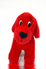 Image showing Red Puppy