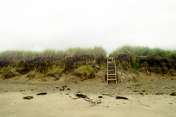 Image showing Peaceful beach landscape 