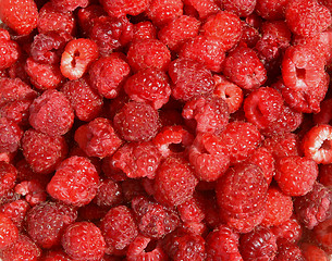 Image showing raspberries