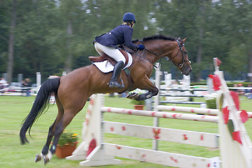 Image showing Show jumping