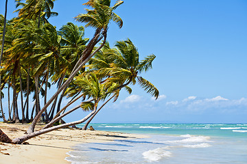 Image showing Beach