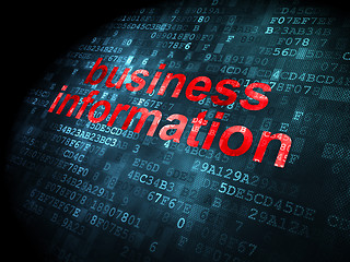 Image showing Business concept: Business Information on digital background